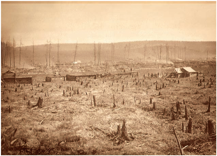 Долина Желтуги. Фото из архива музея землеведения МГУ.