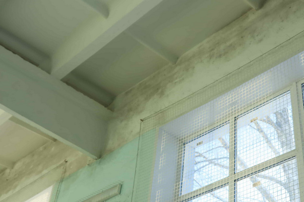    Родители пять лет добиваются ремонта заплесневелого спортзала в кировской школе