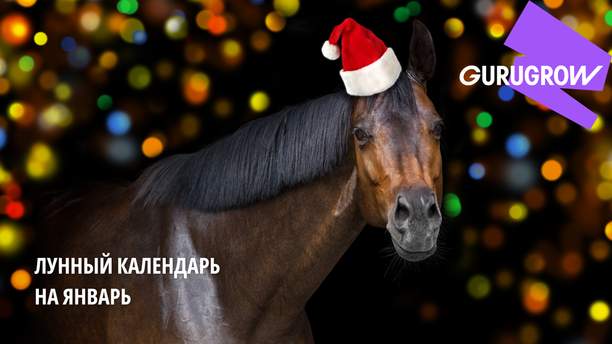 Что год грядущий нам несет мы не знаем, а вот про первый месяц уже есть данные 