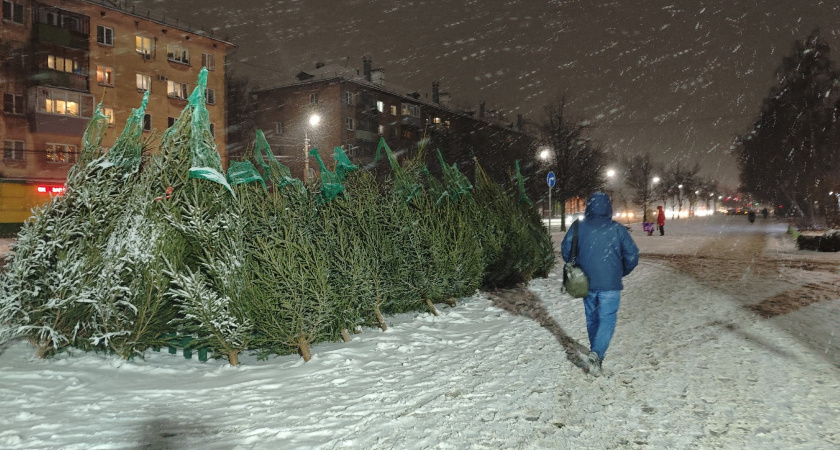    Фото: progorod43.ru