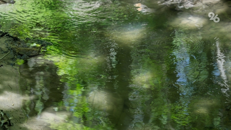      Фото: ИА «Победа26»