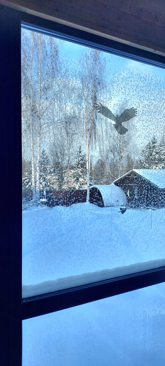 Морозное утро (-27)