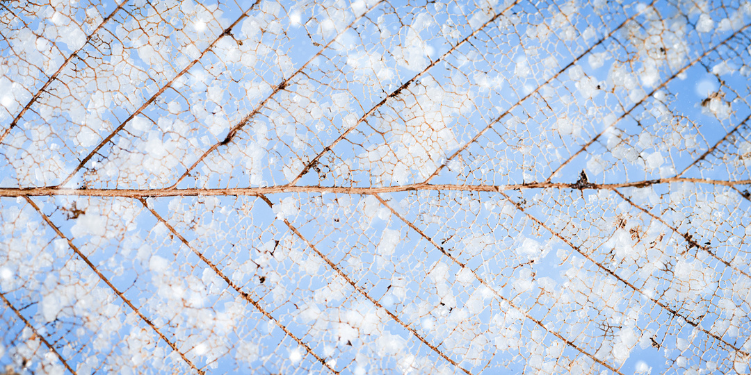 Тревожность за пару дней до Нового года: как остановить гонку мыслей?