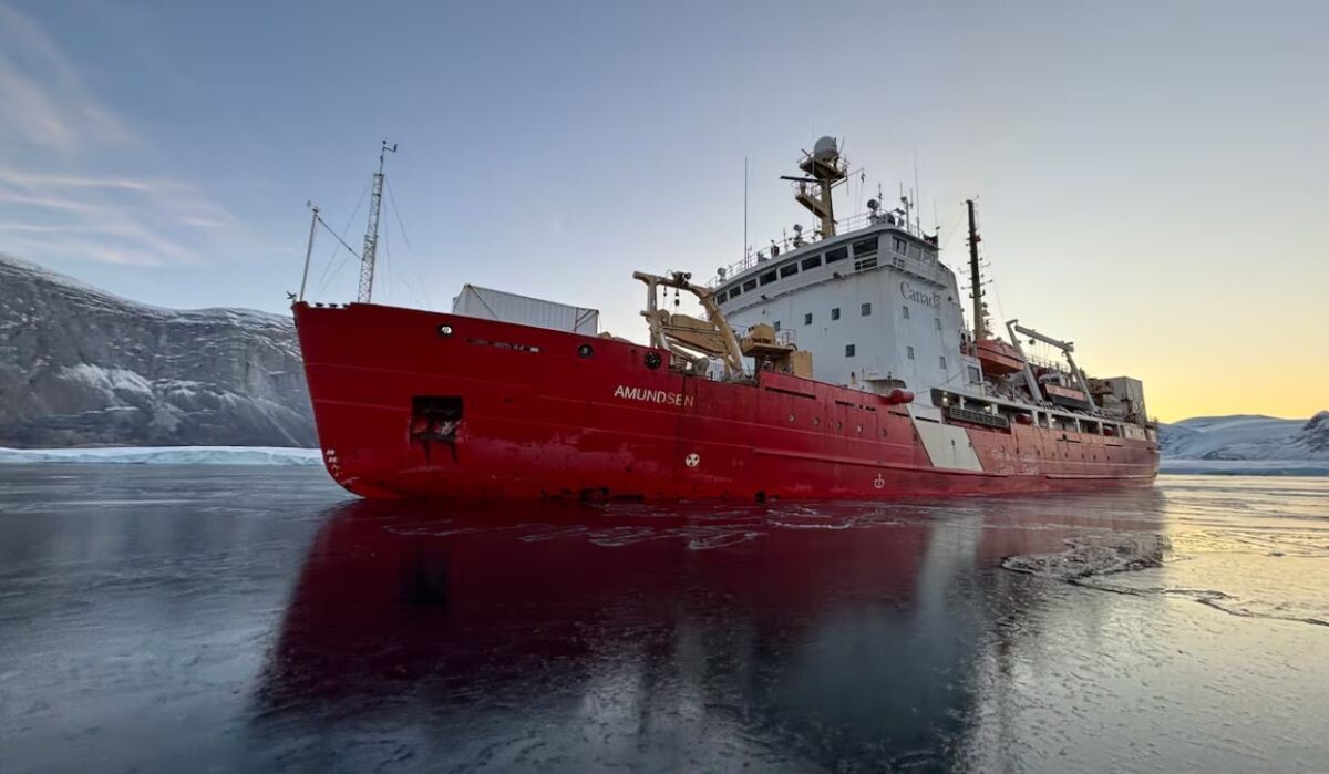     Ледокол CCGS Amundsen. Источник: rbc.ru Автор фото: Fisheries and Oceans Canada / Alexandre Normandeau