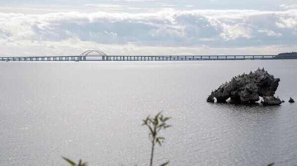    © Соцсети главы РК Сергея Аксенова