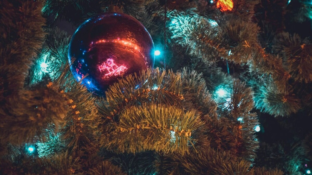    «Старая Сарепта» представила серию органных и инструментальных концертов   novostivolgograda.ru