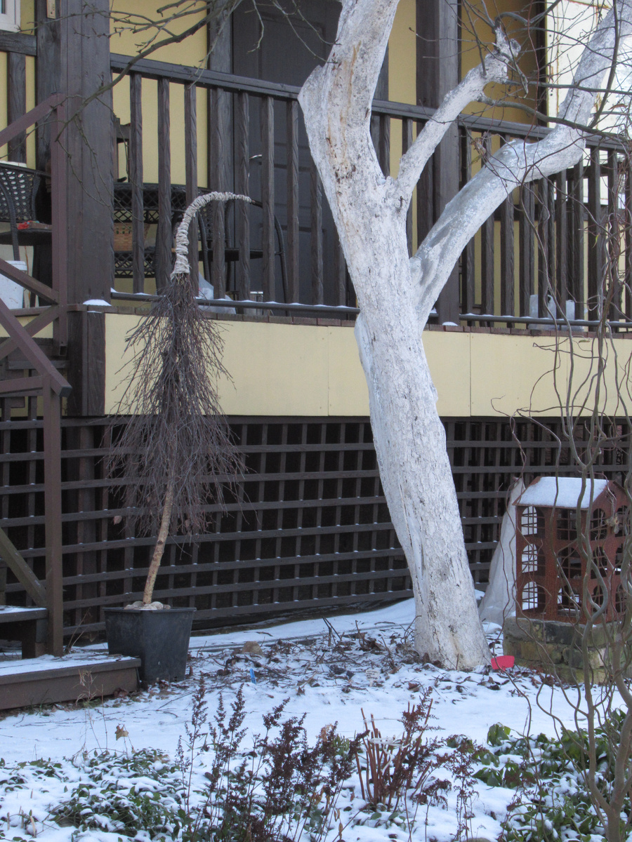 Садовый чудик в колпаке