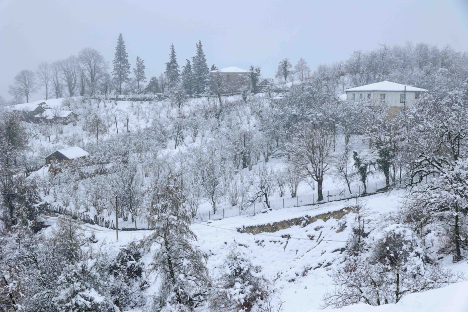    Сергей Петров/NEWS.ru