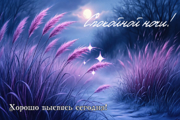 Хорошо выспись сегодня