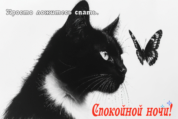 Просто ложитесь спать