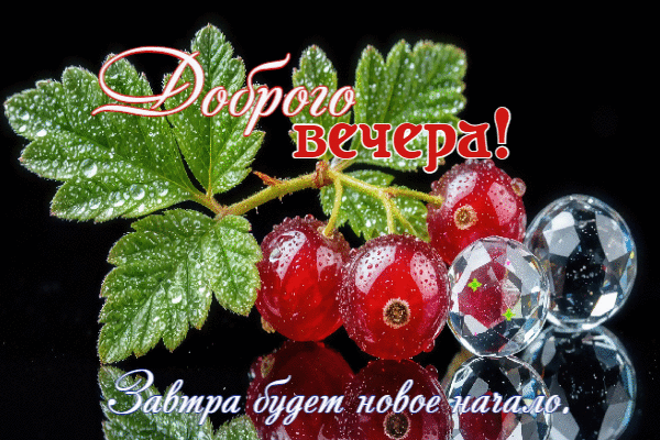 Завтра будет новое начало.