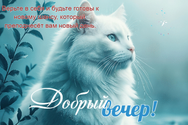 Верьте в себя. Добрый вечер!