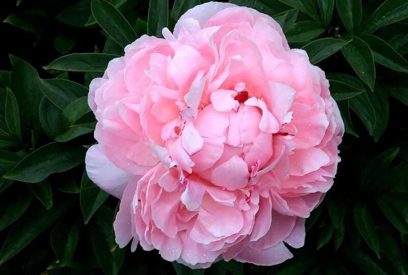 ПРЕДЛОЖЕНИЕ ОСЕНЬ 2026