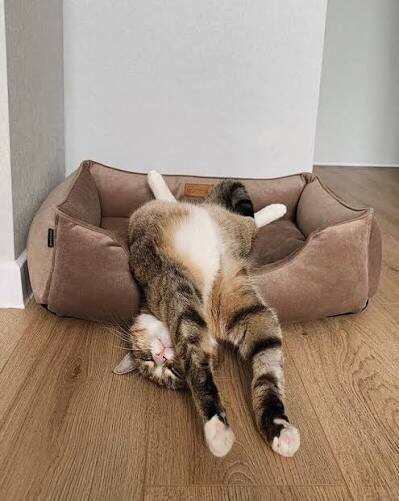 Фото из Интернета. 