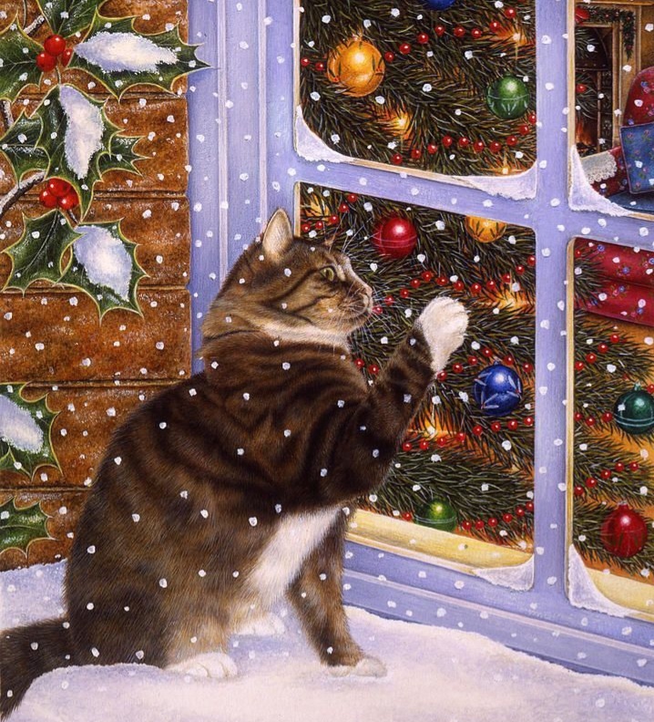 Фото из Интернета. 