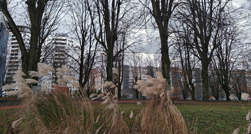    Первый городской канал Калининград