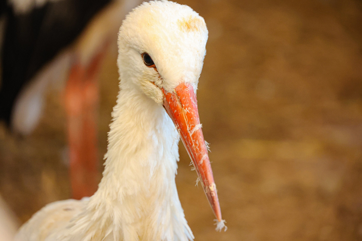    Снимок носит иллюстративный характер. Фото: Tochka.by