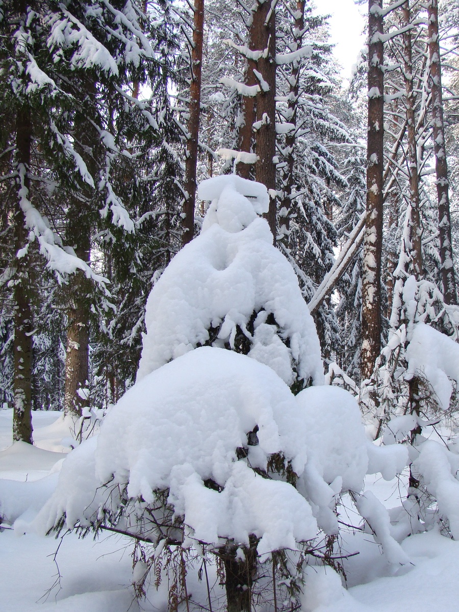 Фото Старого Солдата. Архив