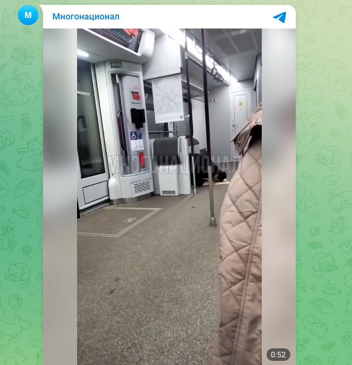    Фото: скриншот Telegram/"Многонационал"