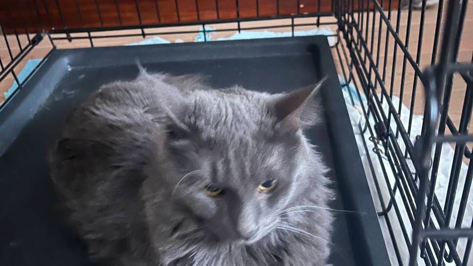 ❗ДОМА❗Эрика закрыли умирать в подвале. 🆘 ПОСТ-ШАНС! ПОСТ-S.O.S! 🆘