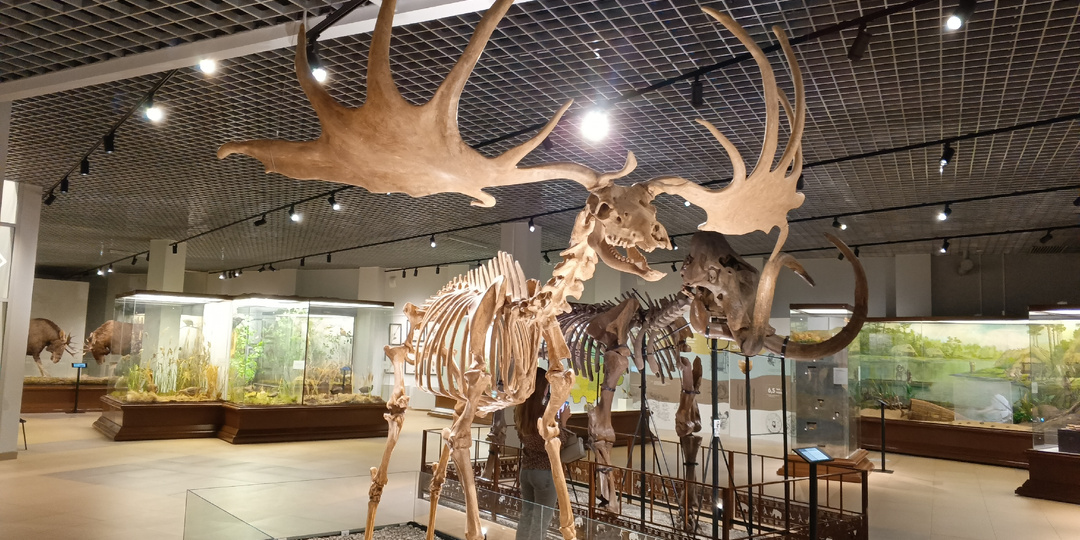 Рязань – Новогодняя столица России 2026: интересные музеи города.