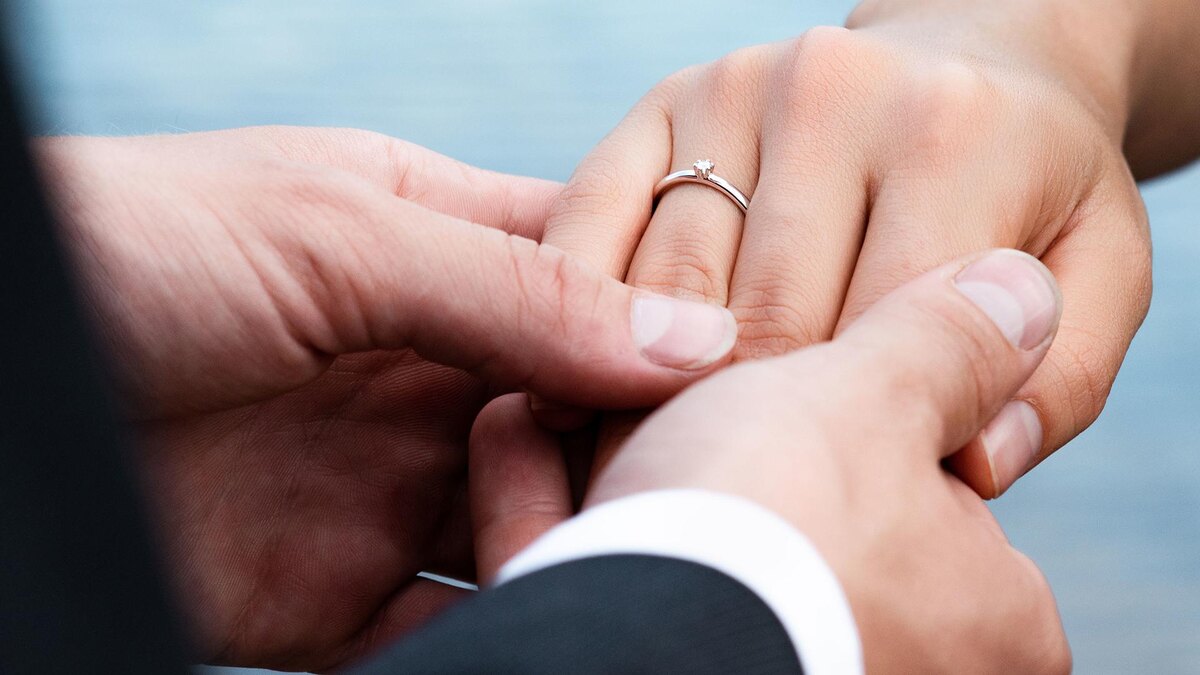    Фото: freepik.com/wirestock