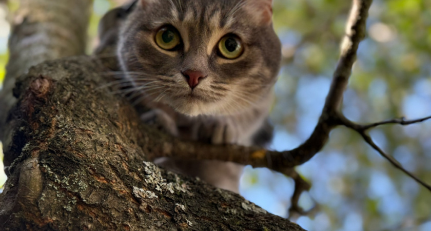    Автор фото — Анастасия Козлова