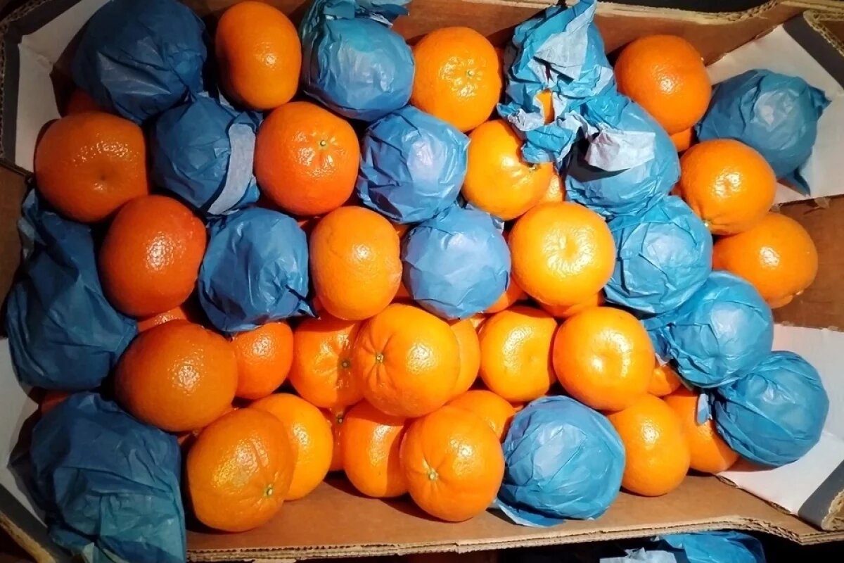    Шесть тысяч тонн цитрусовых фруктов ввезли через Псковскую область за год