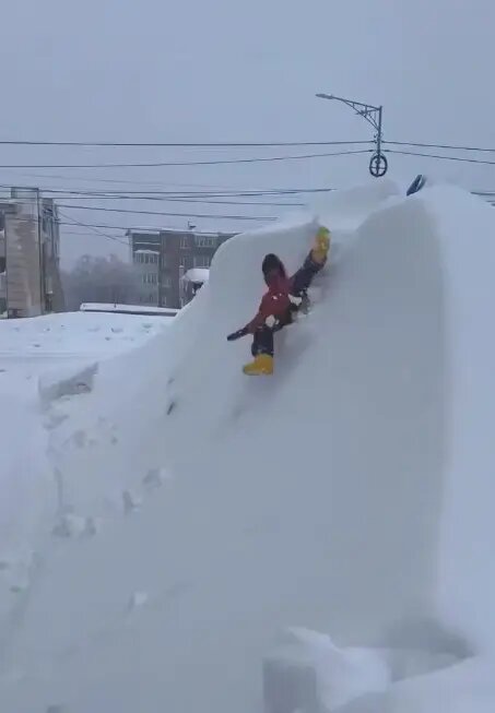    Фото: скриншот видео из соцсетей