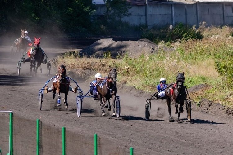    Фото: Минсельхоз Иркутской области