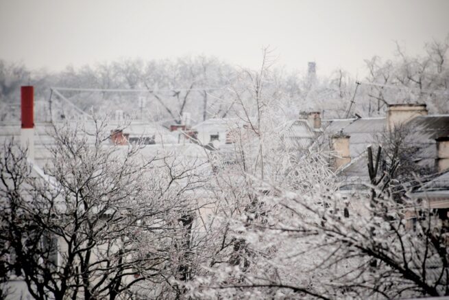    Фото: Юрий Гречко / Югополис