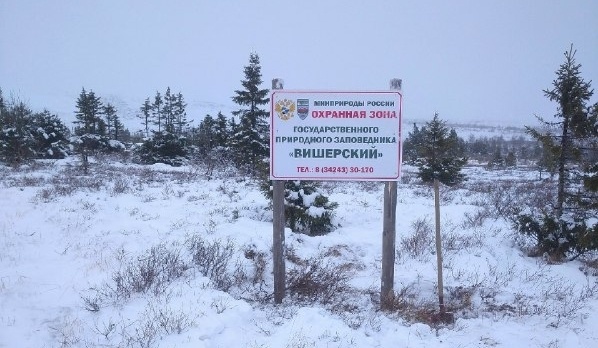    Фото: Владимир Остапенко, заповедник Вишерский/VK Ульяна Бажанова