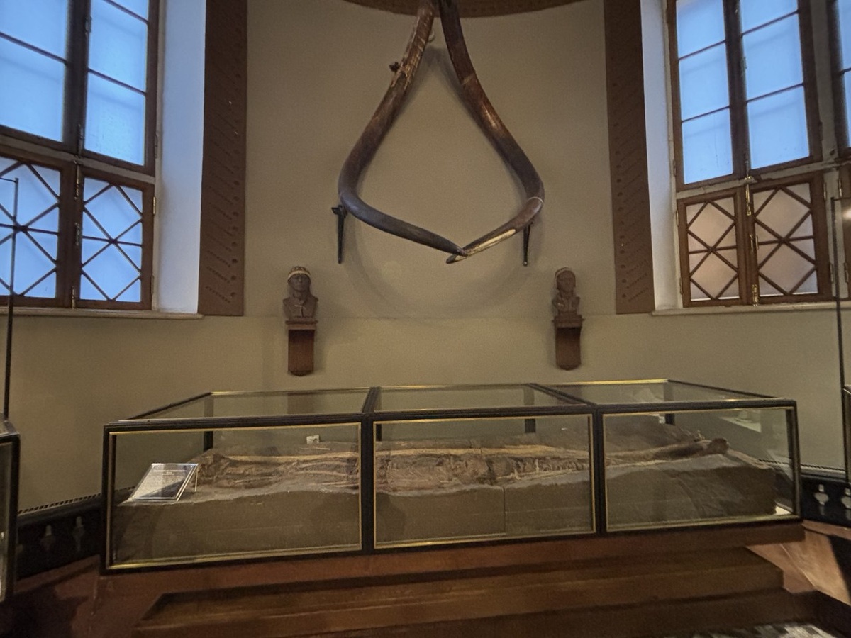 Погребение на стоянке Сунгирь (копия) Владимирская область