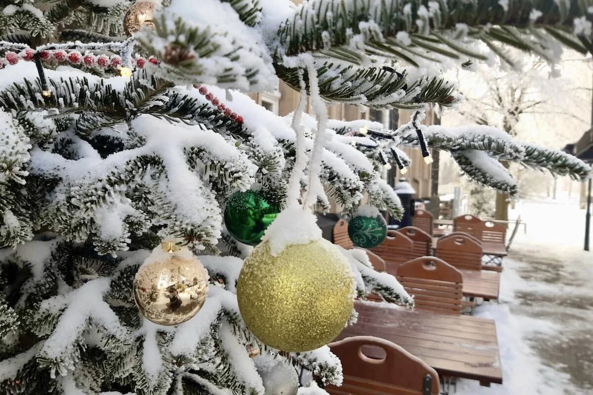 Фото: UfacityNews.ru