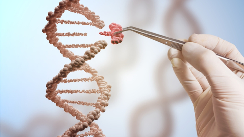 Обратить старение вспять: что наука знает сегодня и как это использовать уже сейчас