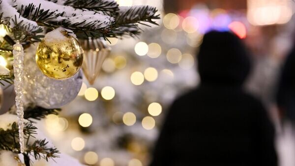    © Sputnik / Сергей Пятаков