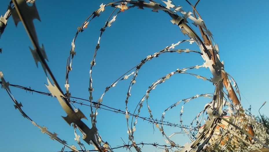 Автор фото: Михаил Тихонов / "ДП"