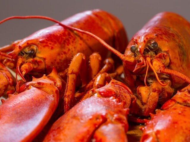    Фото: 123RF.com/margostock