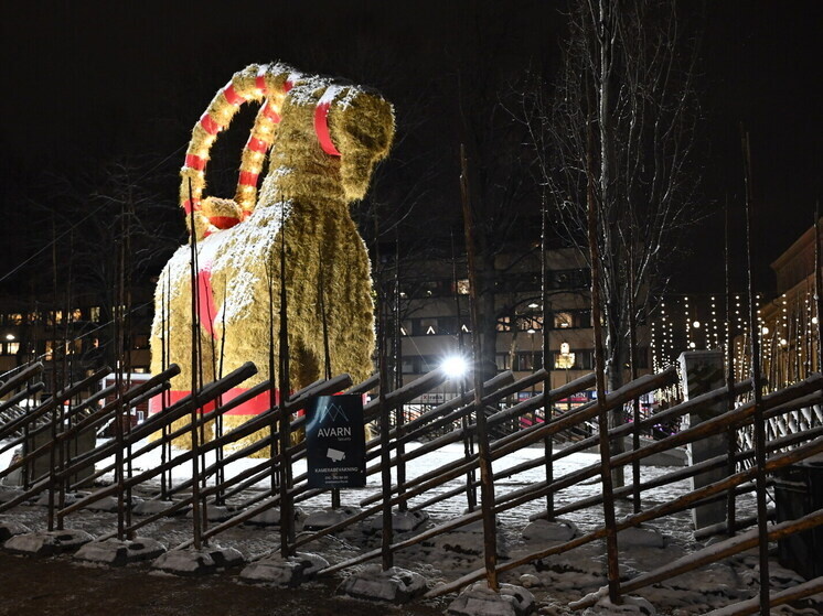     Фото Anders Wiklund / Keystone Press Agency / Global Look Press