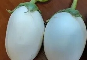    Фото: Россельхознадзор Прикамья Ульяна Бажанова