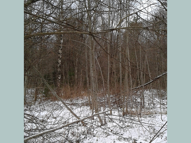 У восьми сельхозучастков в Тверской области повысилась категория риска