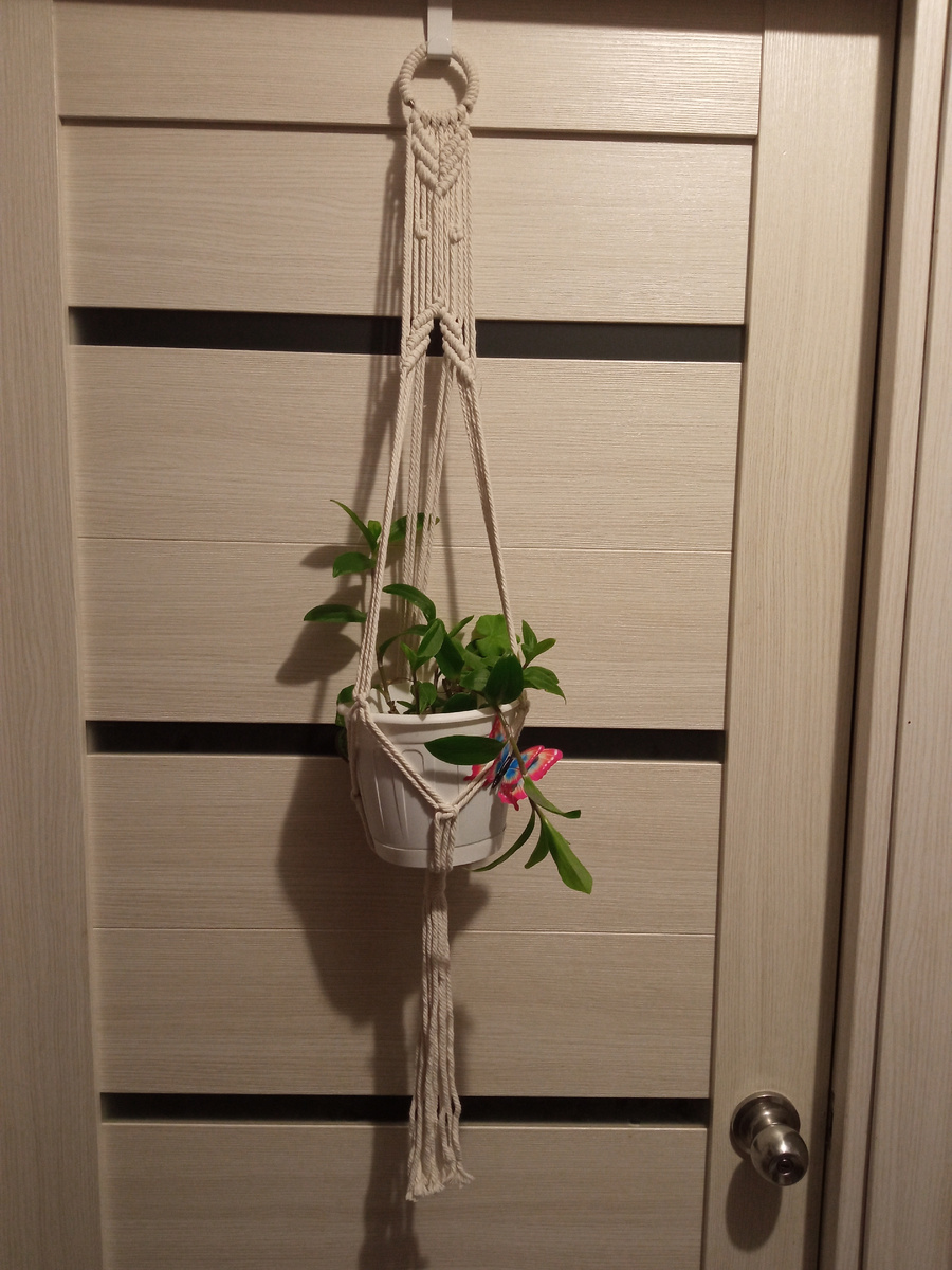 Сестра в новой хате везде кашпо повесила. Как дверь резко откроешь - в голову горшком прилетает. Интересный фен-шуй. 