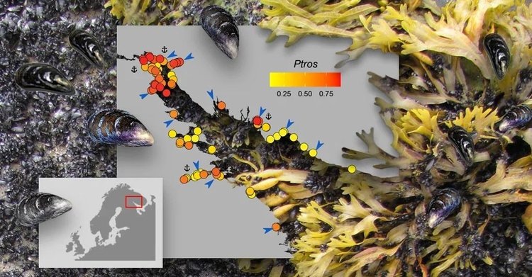   Фото: Вадим Хайтов