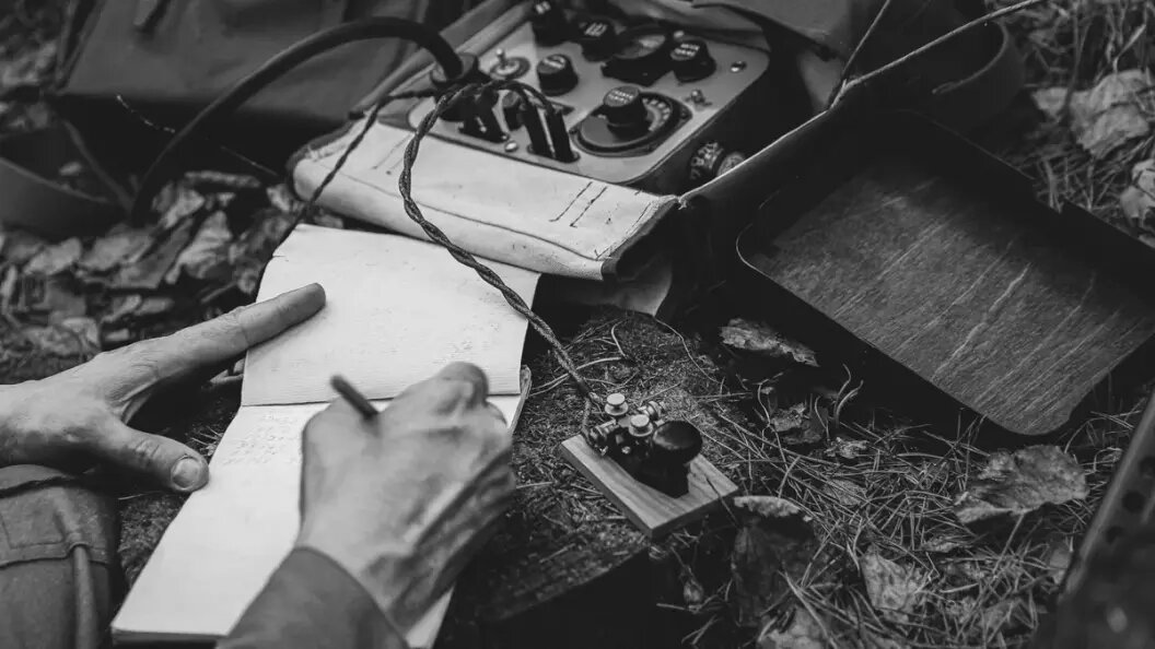    Фото: Shutterstock