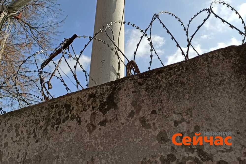    Фото: ИА "Нижний сейчас" Редакция nn-now