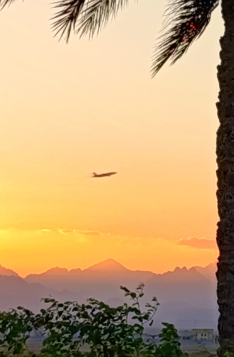 Улететь из лета в зиму