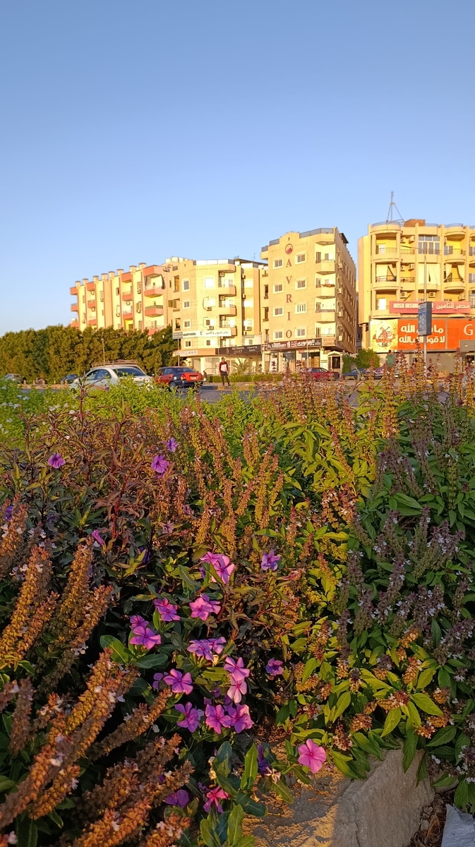 Теперь яркая картинка Хургады сменилась чёрно-белой Москвой