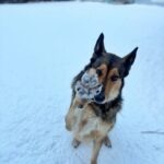   📷

