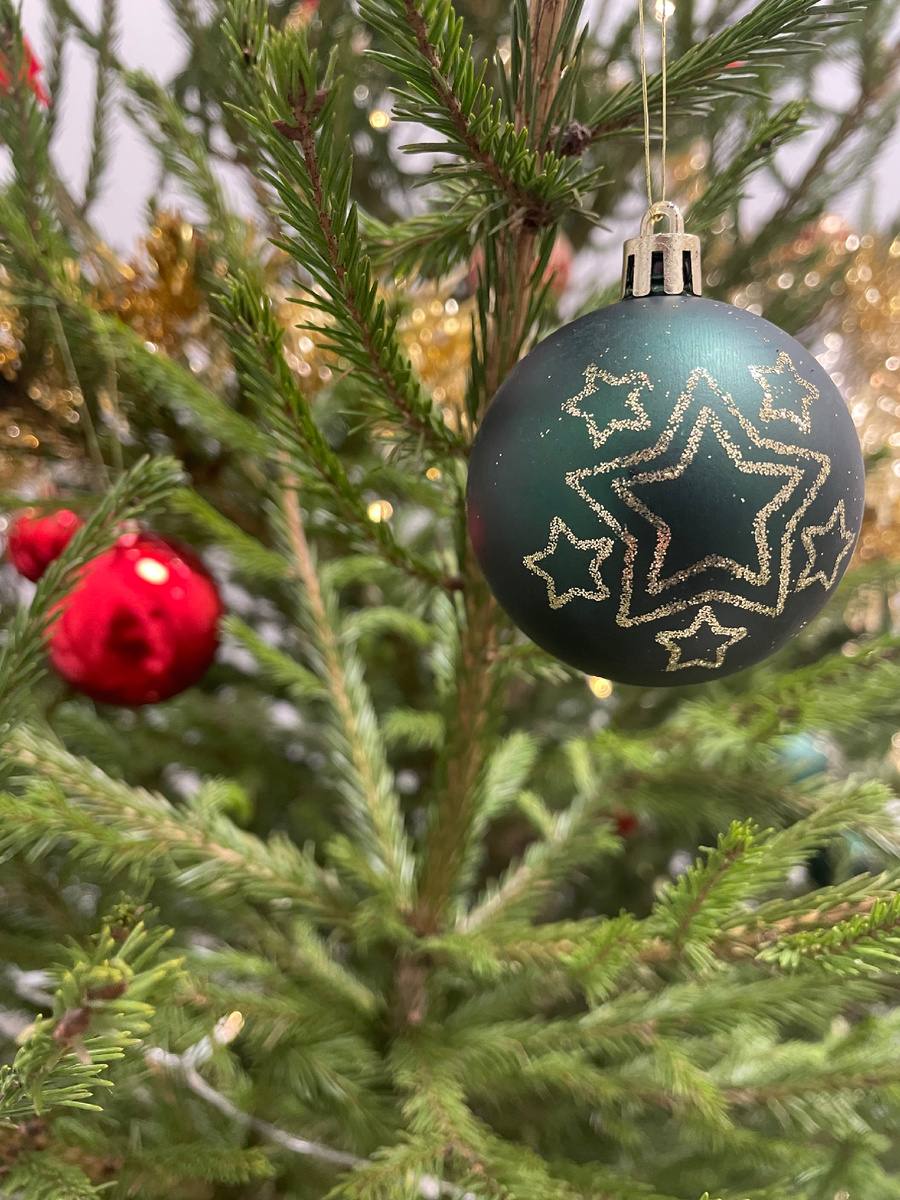 Каждые год в офисе ставят живую елку