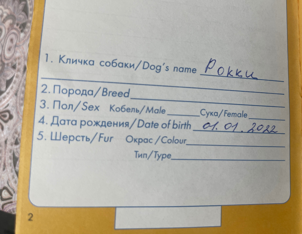 Графу «Дата рождения» все же видят? 😅 Вот! 